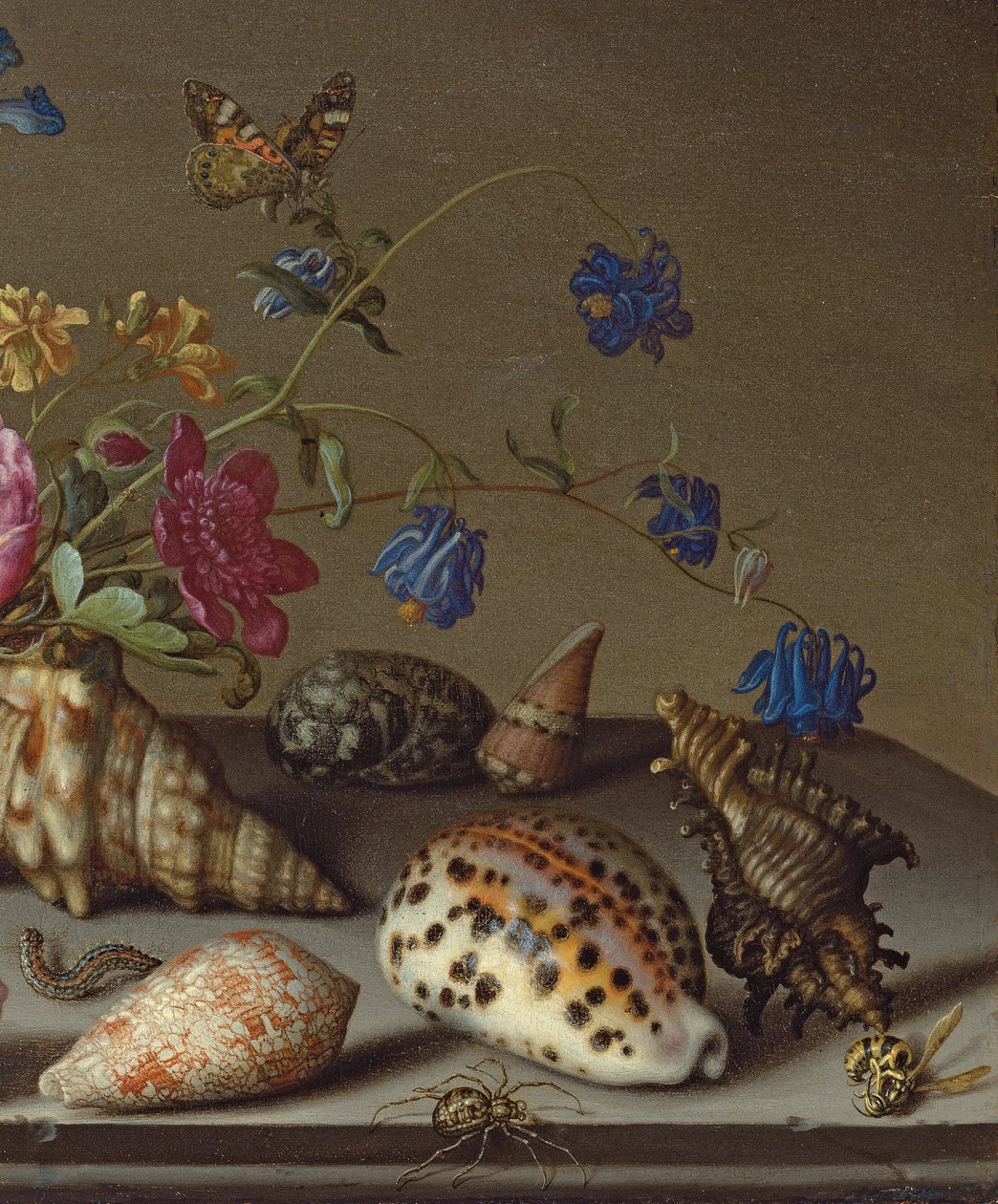 الزهور والأصداف والحشرات على الحافة الحجرية بواسطة Balthasar van der Ast