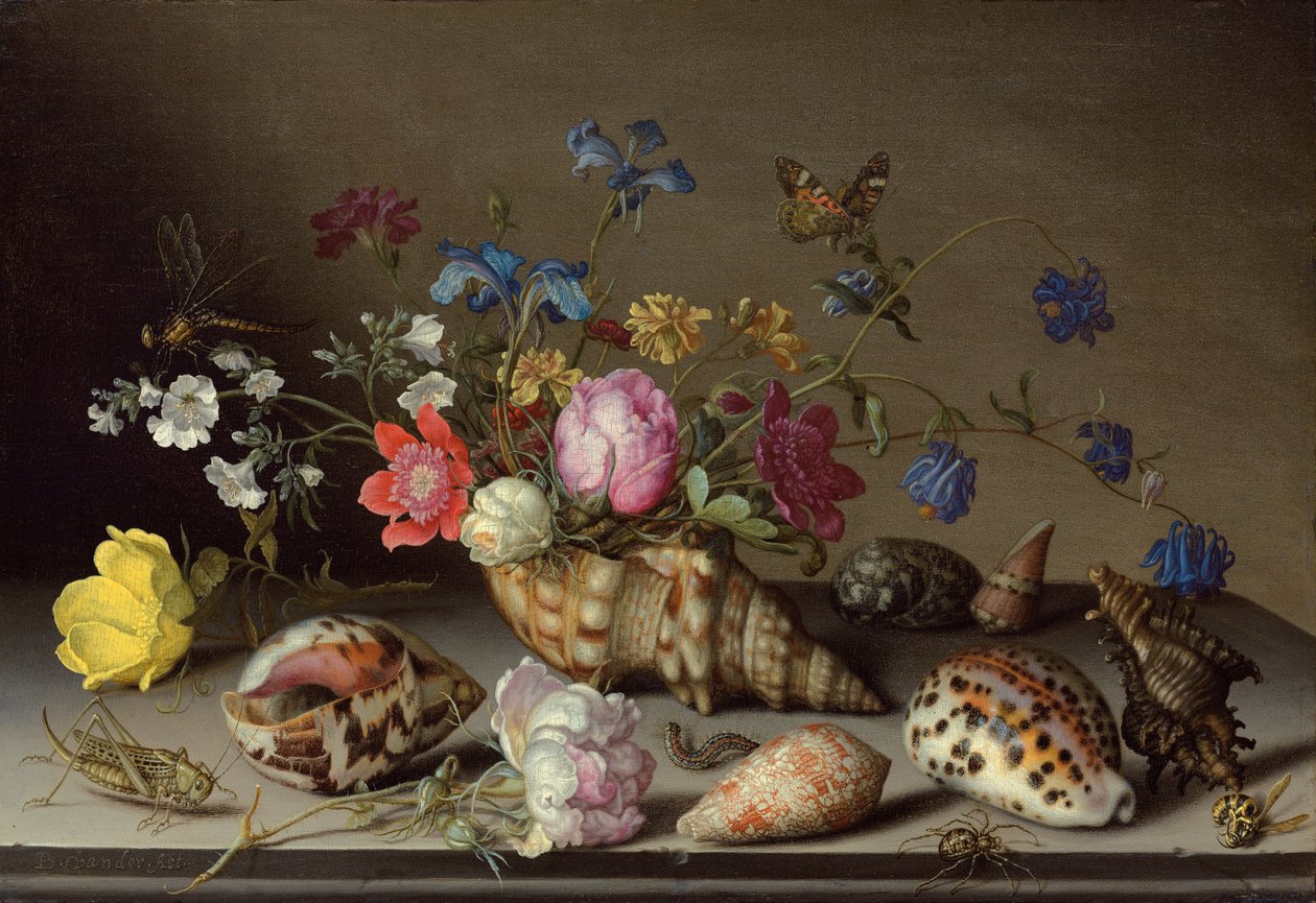 الزهور والأصداف والحشرات على الحافة الحجرية بواسطة Balthasar van der Ast