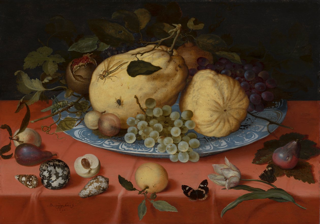حياة ساكنة للفاكهة مع الأصداف والزنبق بواسطة Balthasar van der Ast