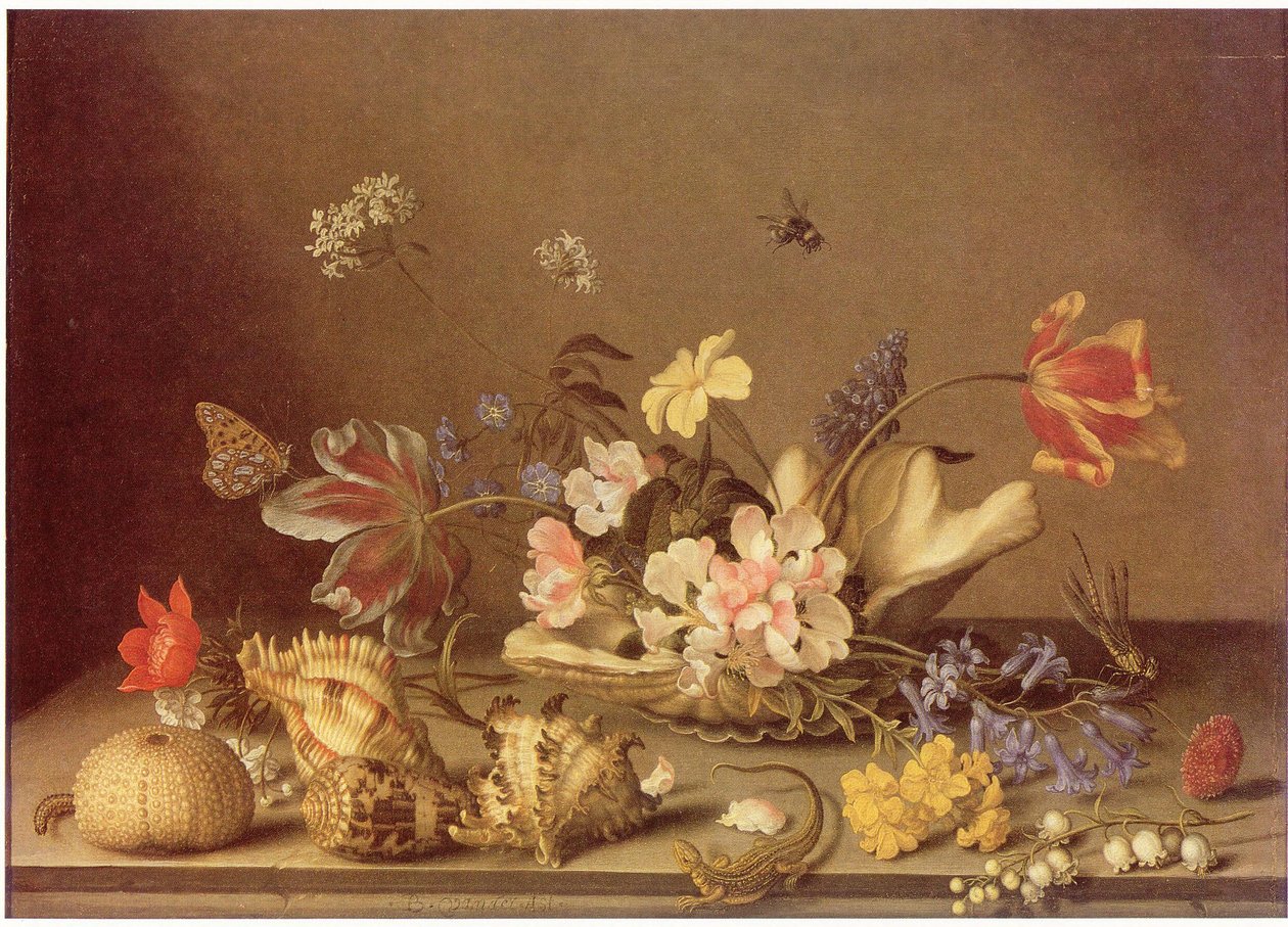  بواسطة Balthasar van der Ast