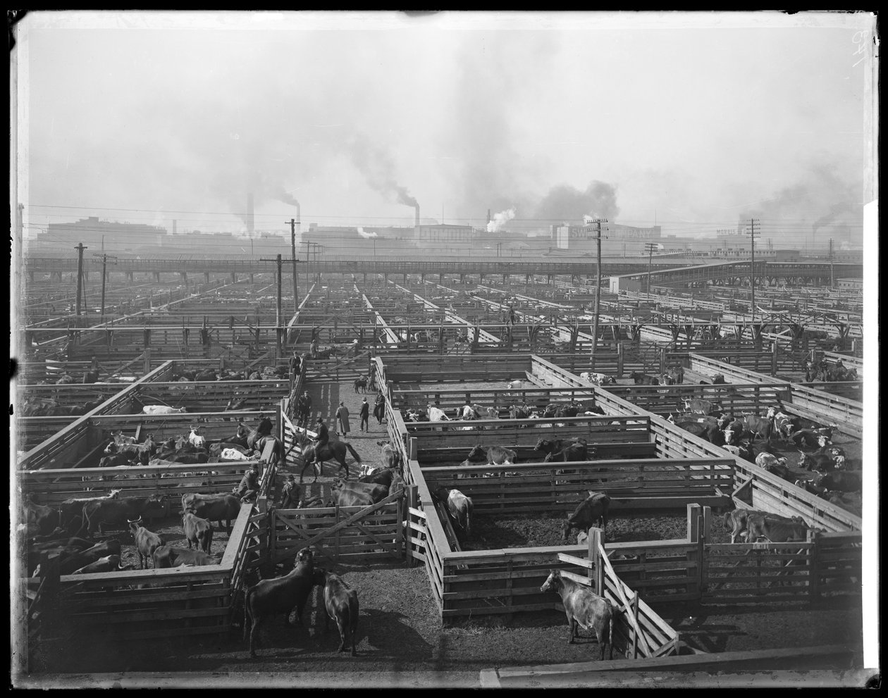 حظائر الماشية في Union Stock Yards ، شيكاغو ، إلينوي ، الولايات المتحدة الأمريكية ، حوالي 1900 (صورة b / w) بواسطة بارنز وكروسبي