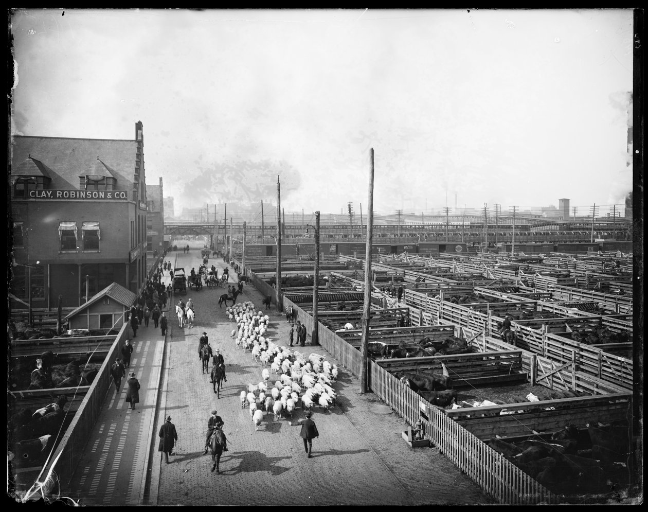 Union Stock Yards. ، شيكاغو ، إلينوي ، الولايات المتحدة الأمريكية ، حوالي عام 1910 (صورة b / w) بواسطة بارنز وكروسبي