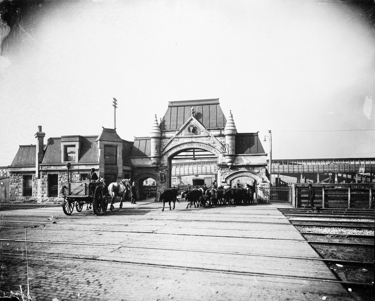 بوابة Union Stock Yards on Exchange Avenue ، شيكاغو ، إلينوي ، الولايات المتحدة الأمريكية ، c.1905 (b / w photo) بواسطة بارنز وكروسبي