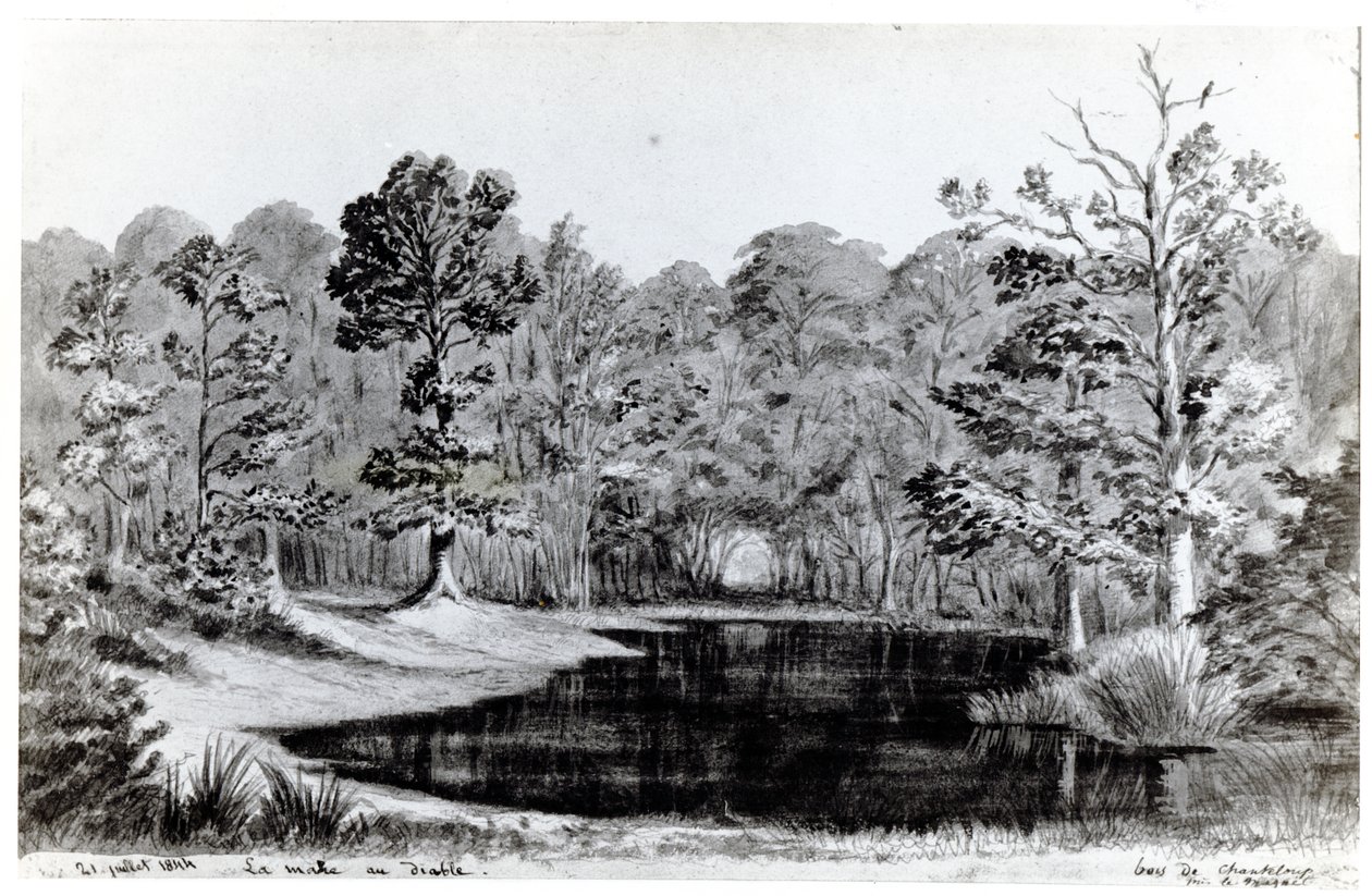 بركة الشيطان في Bois de Chanteloup ، 1844 بواسطة موريس ساند