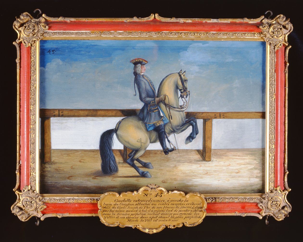 رقم 45 حصان مدرسة ركوب الخيل الاسبانية يقوم بحركة ترويض تسمى كوربيت (مرحاض على ورق) بواسطة البارون ريس أيزنبرغ