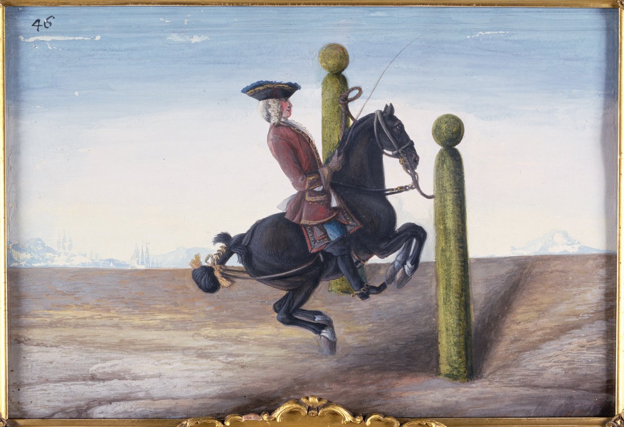 No.46 حصان خليج مدرسة الفروسية الإسبانية يقوم بحركة ترويض تسمى Croupade (مرحاض على ورق) بواسطة البارون ريس أيزنبرغ