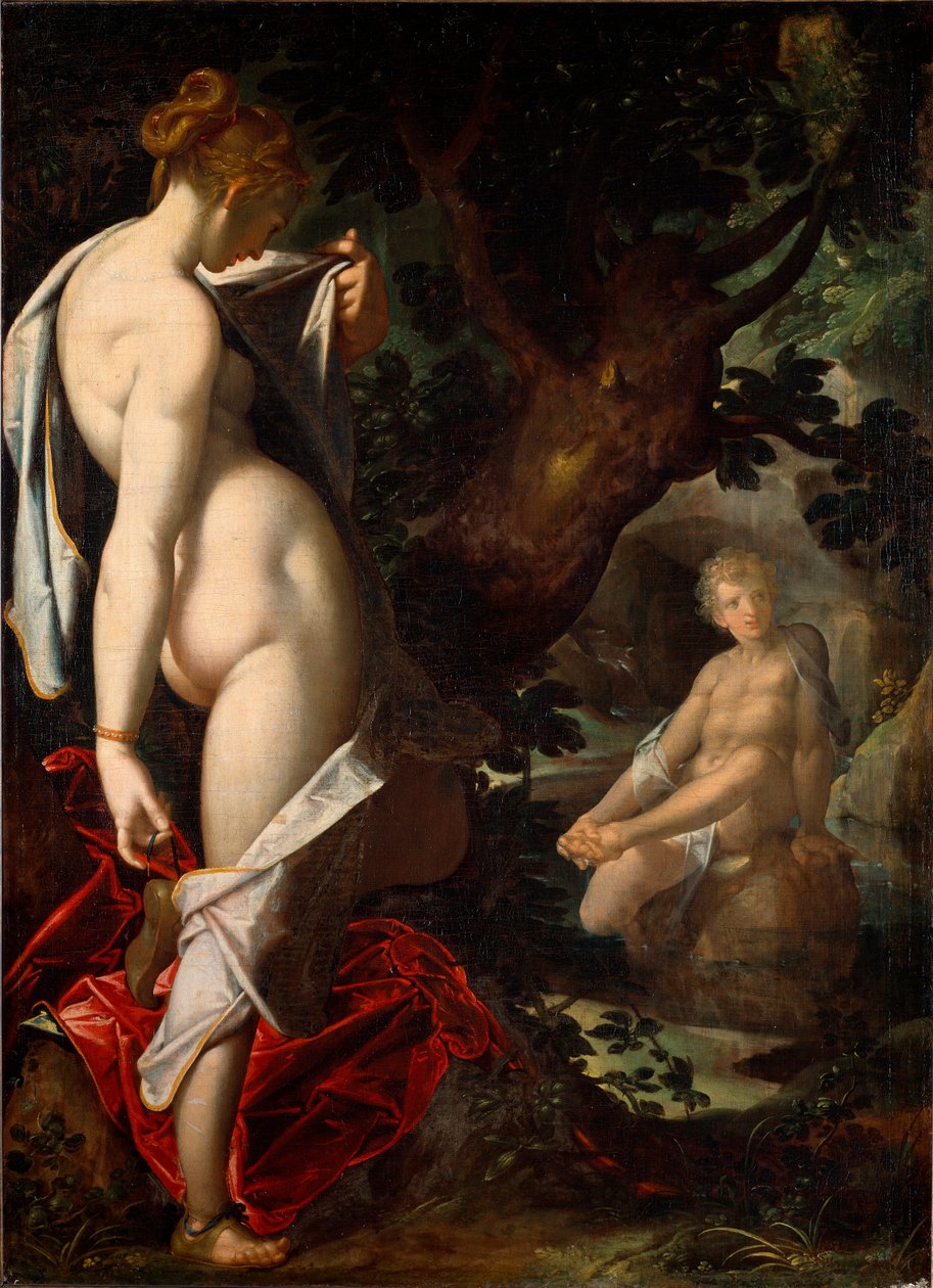 نياد السالميس معجبة بالاستحمام خنثى في الربيع (صورة بواسطة Bartholomaeus Spranger