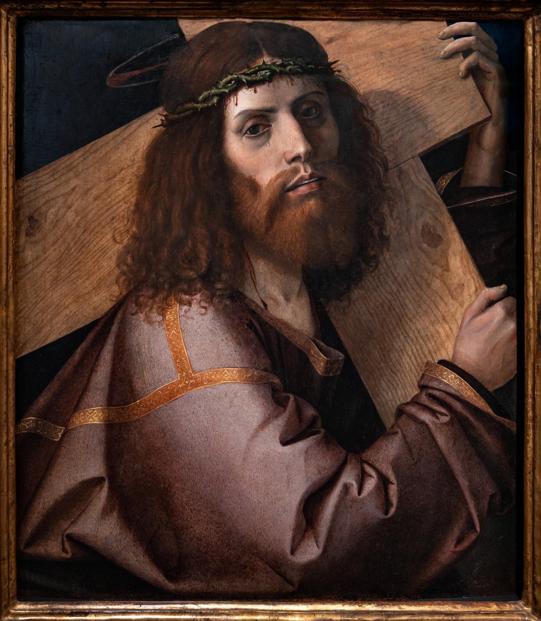 المسيح يحمل الصليب ، العقد الأول من القرن السادس عشر (زيت على لوح) بواسطة بارتولوميو مونتانا