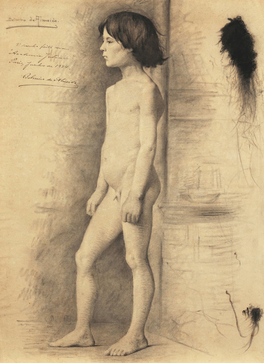  بواسطة Belmiro de Almeida
