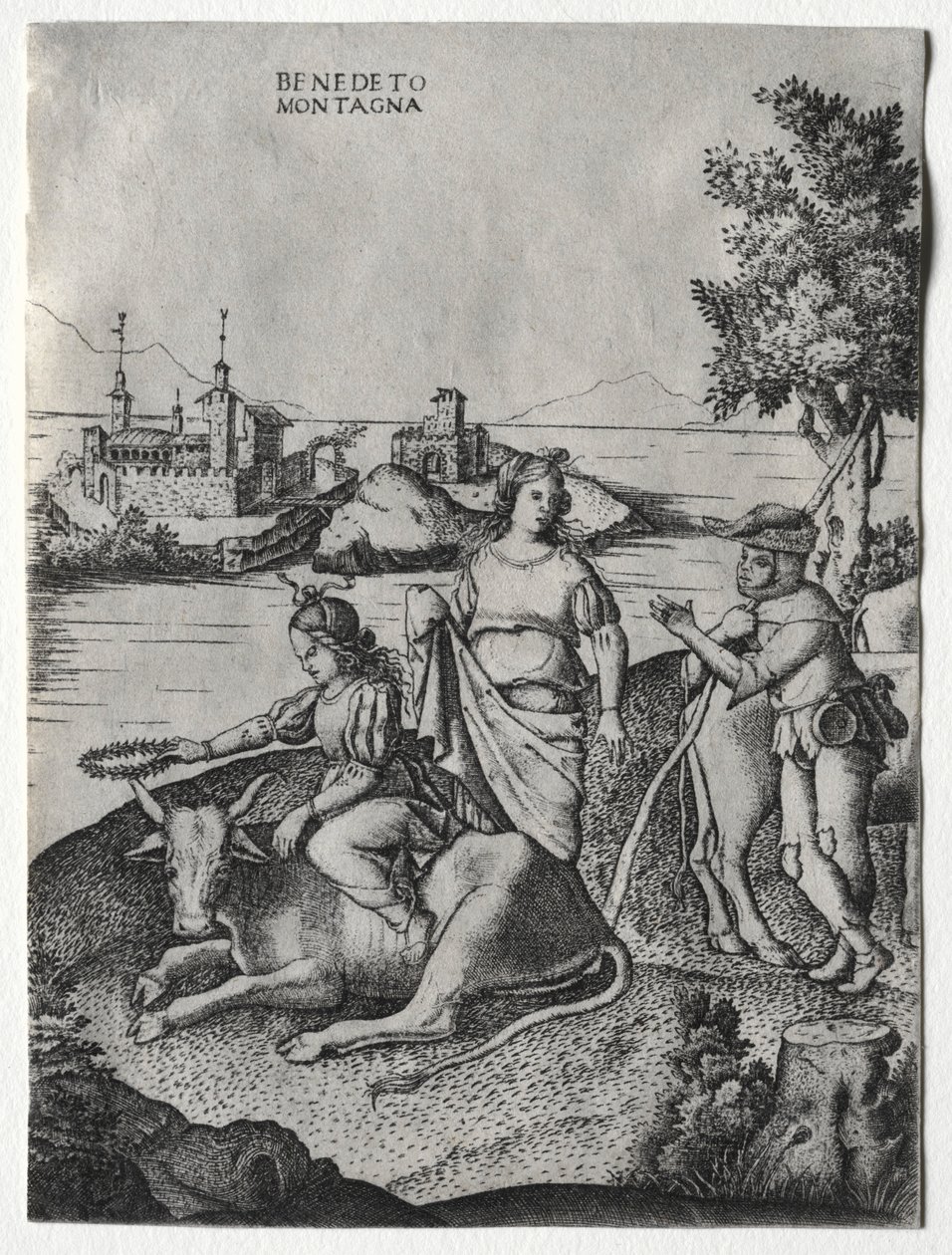 اغتصاب أوروبا ، ج. 1515-1520. بواسطة بينيديتو مونتاجنا