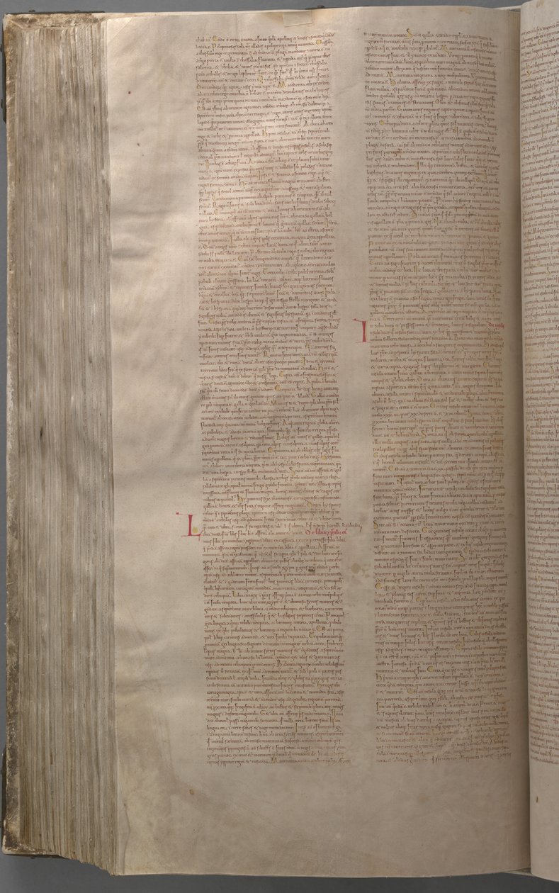 The Codex Gigas بواسطة دير البينديكتين Podlažice