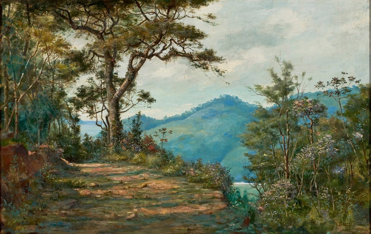 LandscapenPortuguês: منظر طبيعي لسلسلة ماتان بواسطة بينيديتو كاليكستو