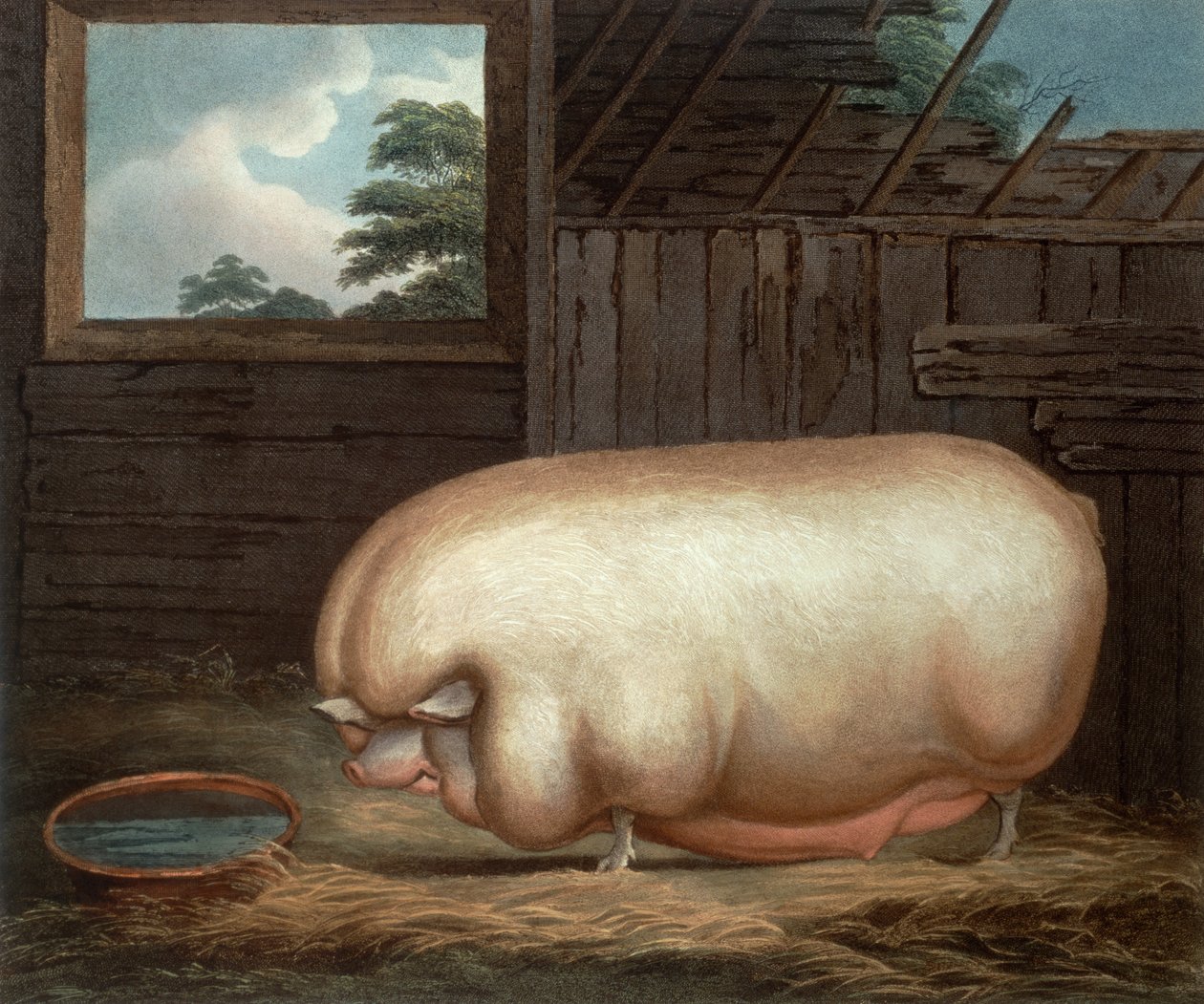 هذا الحيوان الرائع ... ، نقش جون ويسيل (c.1760-1823) ، 1808 بواسطة بنيامين غيل