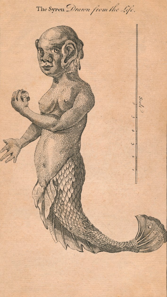 ^ Syren Drawed from the Life ، 1759 بواسطة بنيامين كول