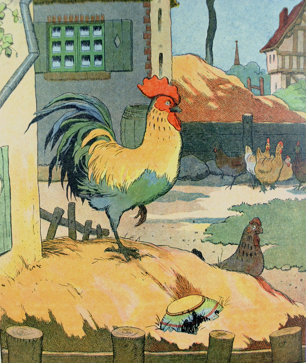 The Cock ، توضيح من "Le Buffon de Benjamin Rabier" ، مقتبس من "Histoire Naturelle" لجورج دي بوفون (1707-88) (نقش الألوان) بواسطة بنيامين رابيير