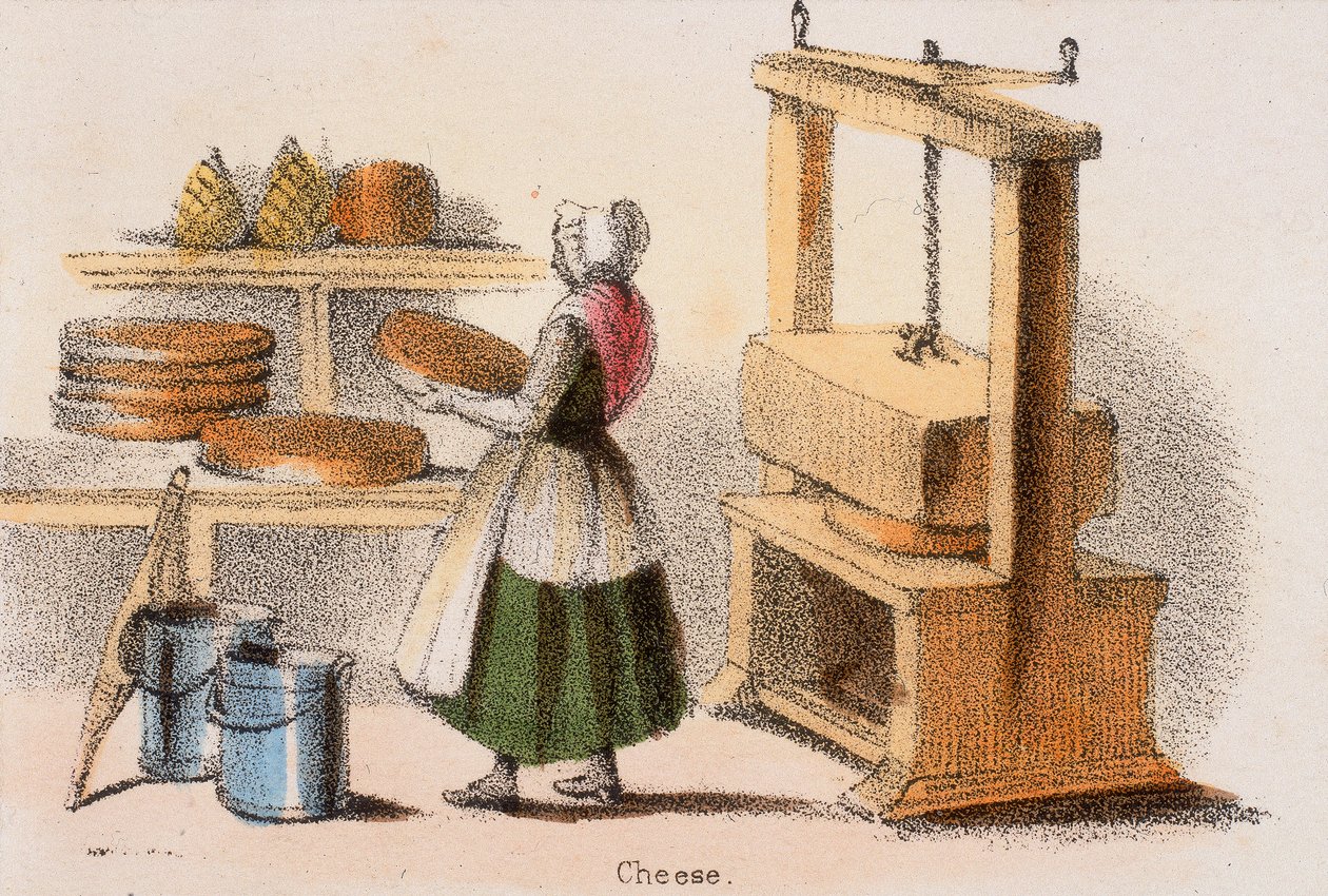 الجبن ، c1845. بواسطة بنيامين ووترهاوس هوكينز