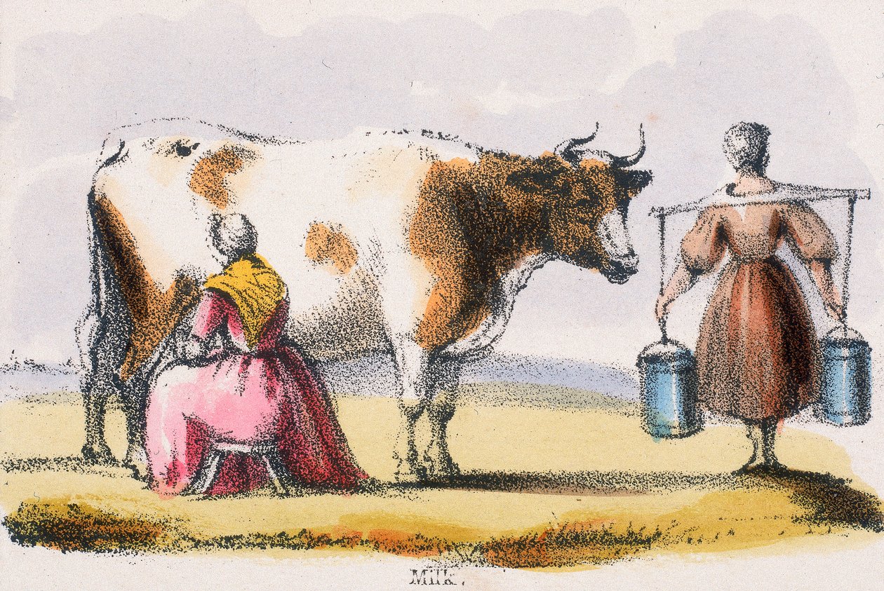 "حليب" ، 1845 بواسطة بنيامين ووترهاوس هوكينز