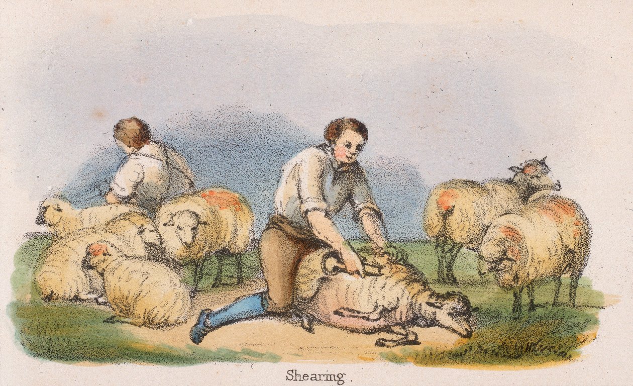 "القص" ، c1845 بواسطة بنيامين ووترهاوس هوكينز