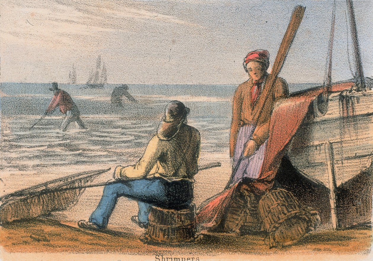 روبيان ، c1845 بواسطة بنيامين ووترهاوس هوكينز