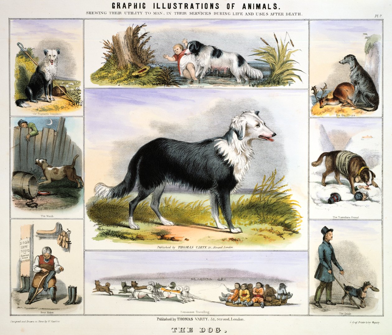 الكلب ، c1850 بواسطة بنيامين ووترهاوس هوكينز