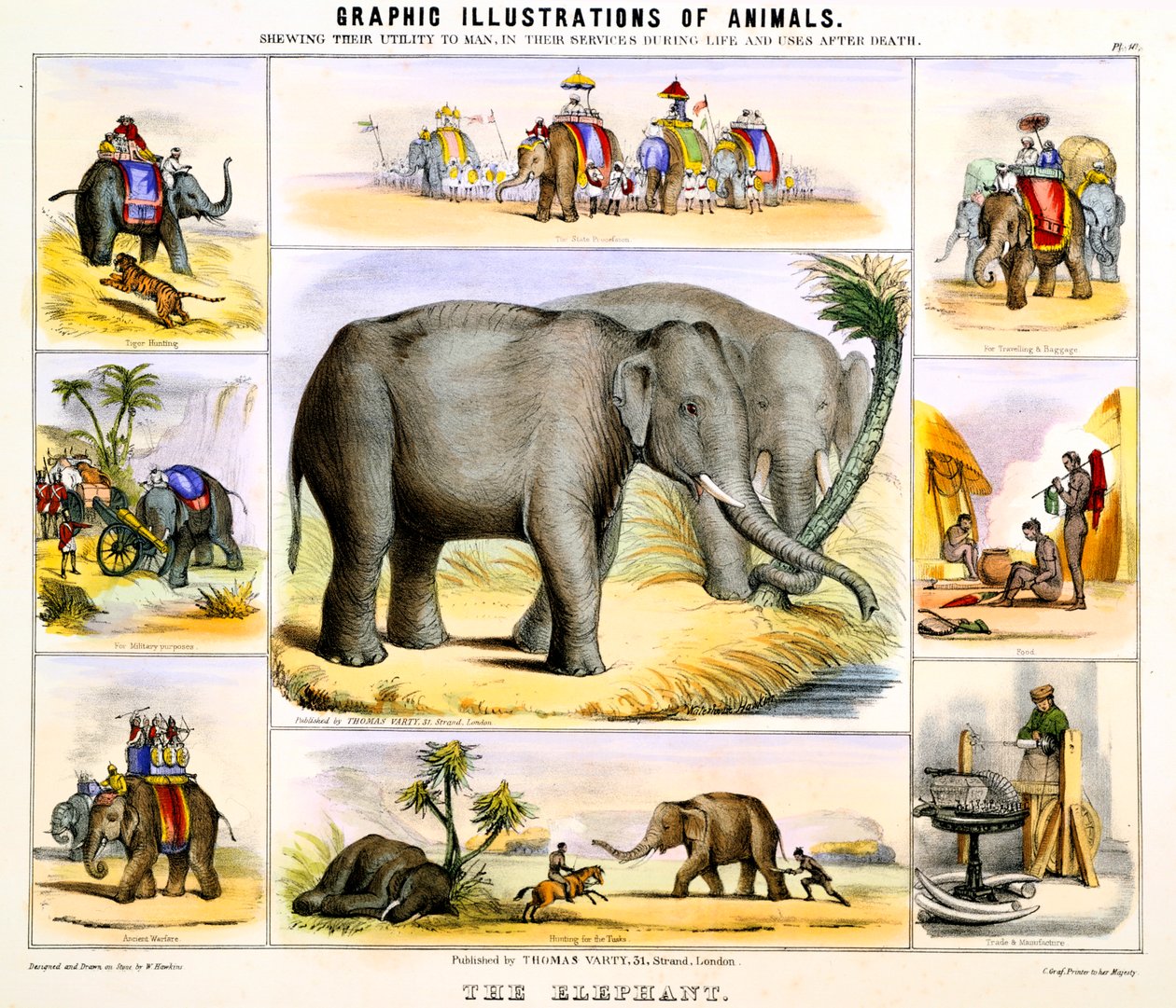 الفيل ، c1850 بواسطة بنيامين ووترهاوس هوكينز