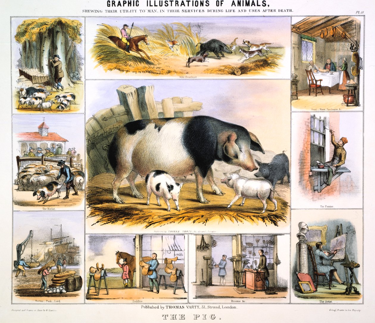 الخنزير ، c1850 بواسطة بنيامين ووترهاوس هوكينز