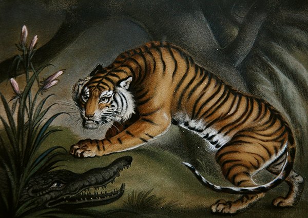 النمر والتمساح ، حوالي عام 1810 (صورة رمال على اللوح) بواسطة بنيامين سابل