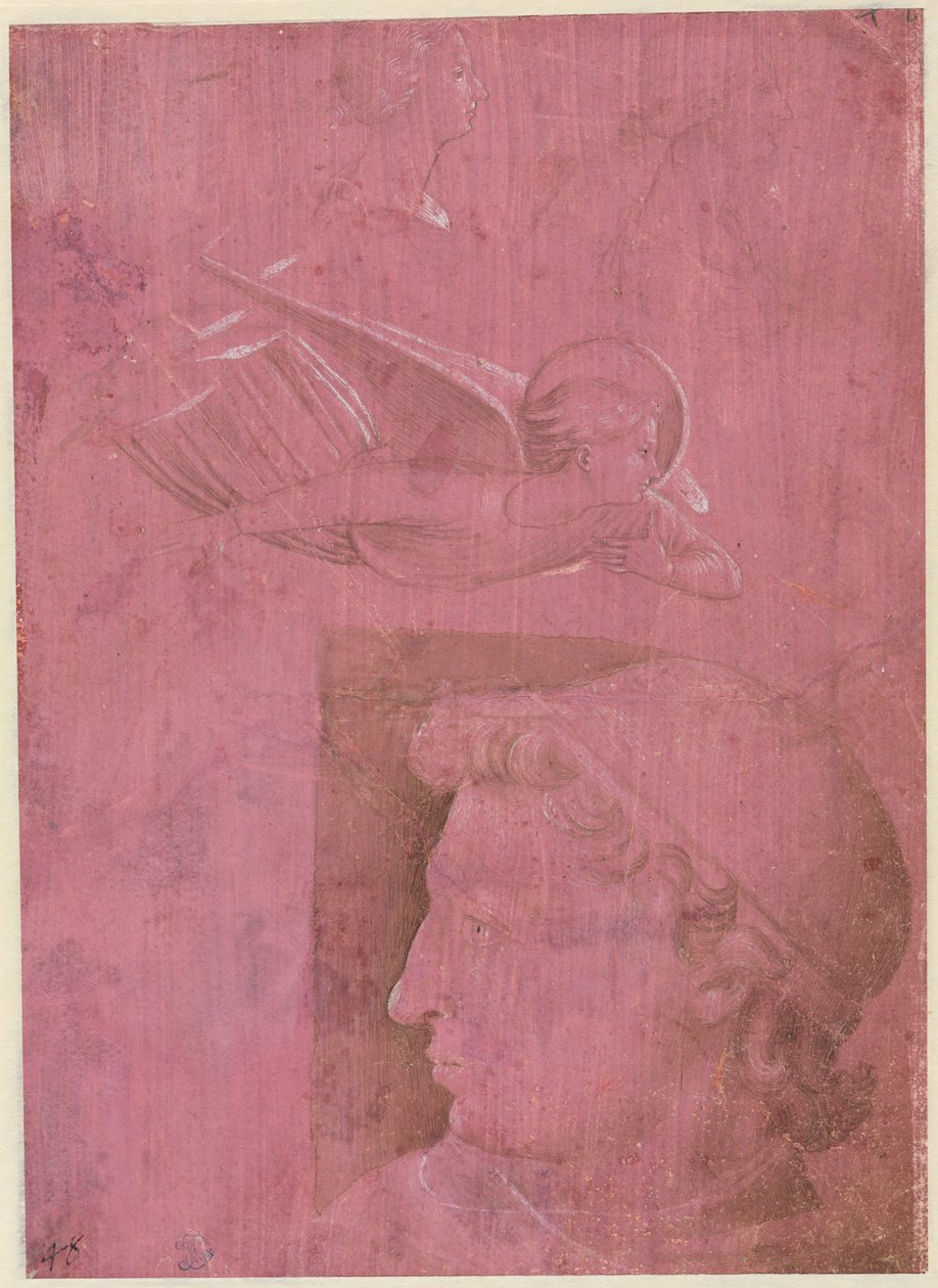رأس رجل ، دراستان عن صورة امرأة ، ودراسة لملاك (ظهر) بواسطة Benozzo Gozzoli
