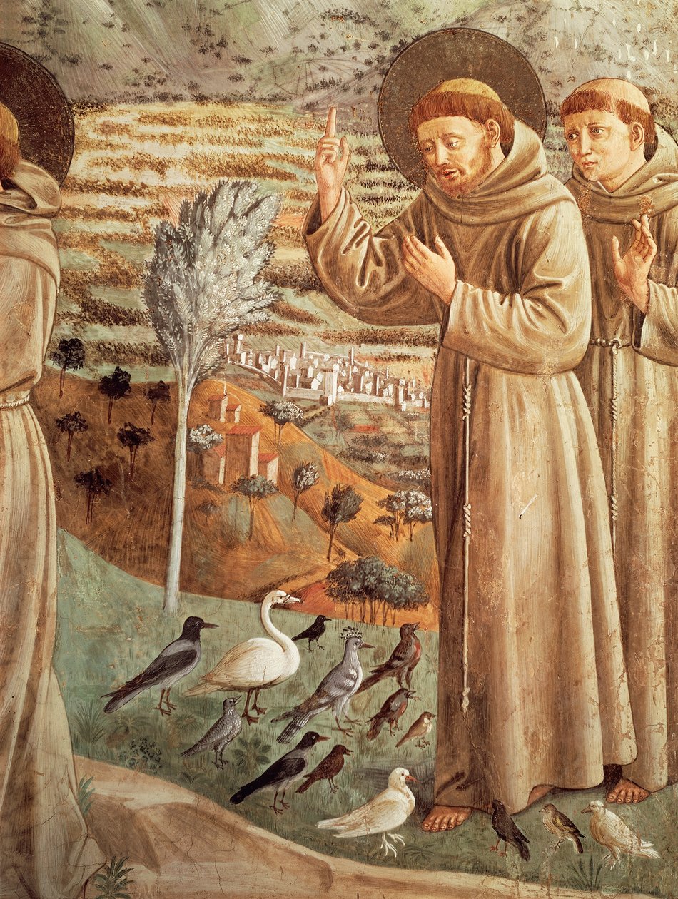 قصص من حياة القديس فرنسيس ، وعظ الطيور (1452) ، دورة اللوحات الجدارية لبينوزو غوزولي (1421-1497) ، منبر أبسيدال ، كنيسة القديس فرنسيس ، مونتيفالكو ، أومبريا ، إيطاليا بواسطة Benozzo di Les di Sandro Gozzoli
