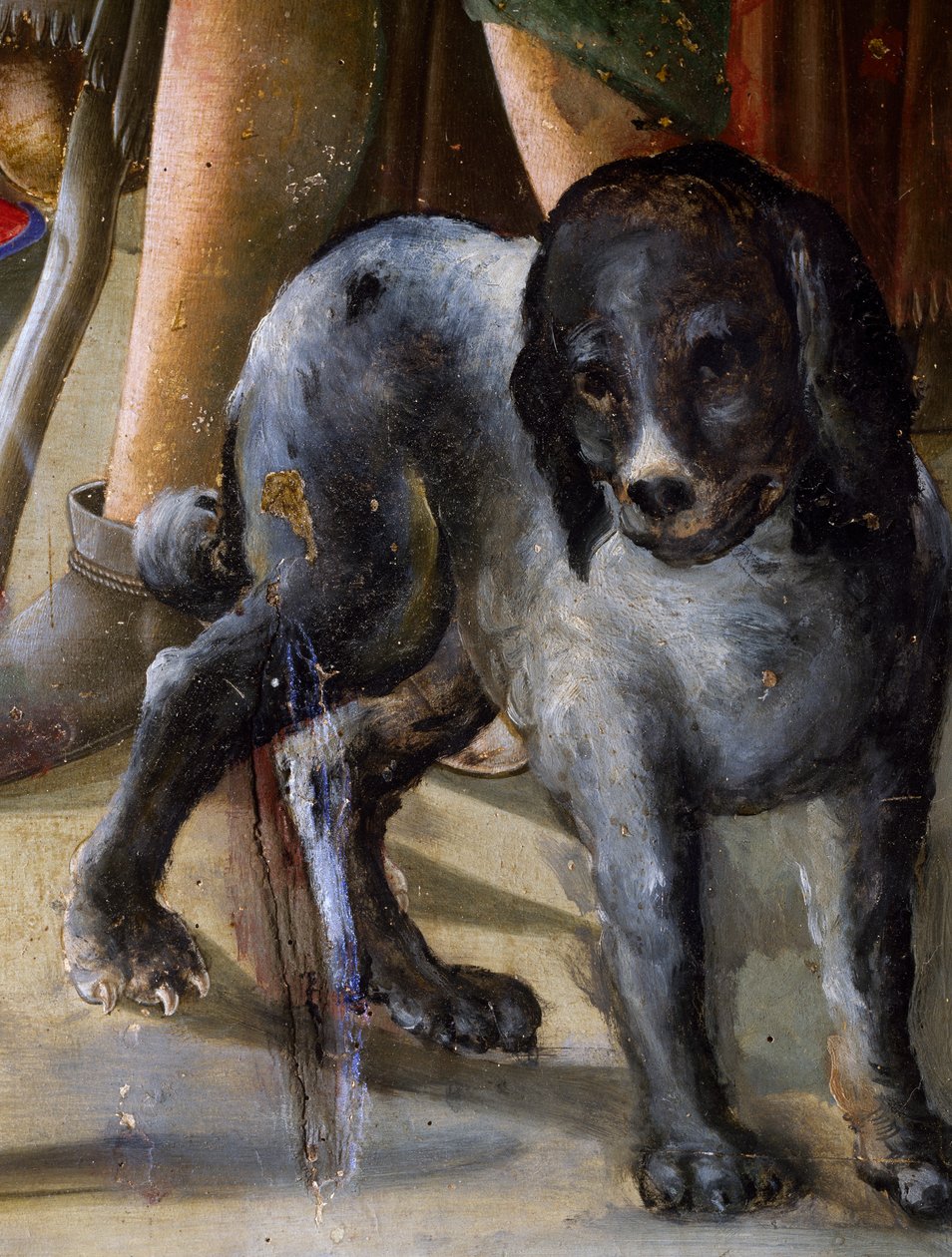 Dog, detail from Nativity of Jesus, ca 1470, painting by Benvenuto di Giovanni, tempera on panel بواسطة بينفينوتو دي جيوفاني