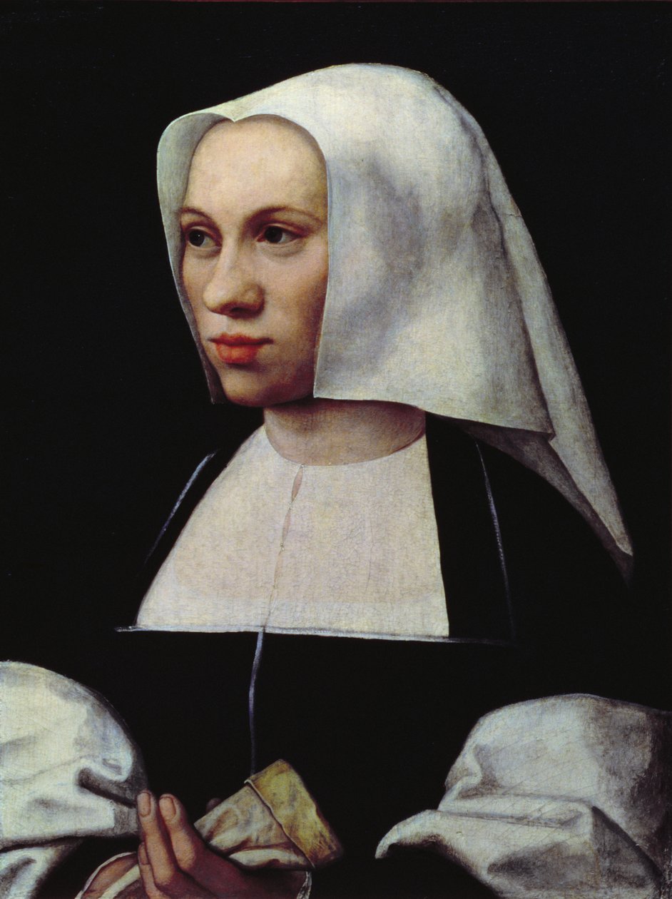 صورة لامرأة ، c.1521-25 (لوحة) بواسطة برنارد فان أورلي