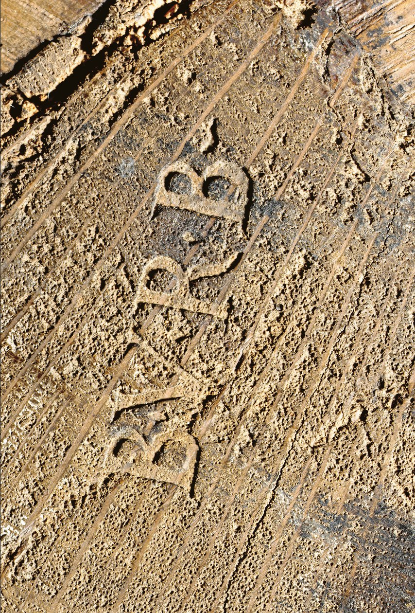 صوان لويس الخامس عشر ، حوالي عام 1740 (أسود صيني مركب على أورمولو ، ورنيش متعدد الألوان ومذهب ، وأفعواني ، ورخام ، وفرنيس) بواسطة Bernard van Risamburgh
