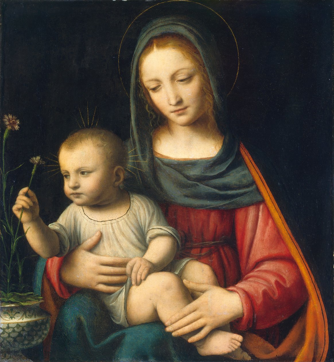 مادونا القرنفل ، c.1515 بواسطة برناردينو لويني