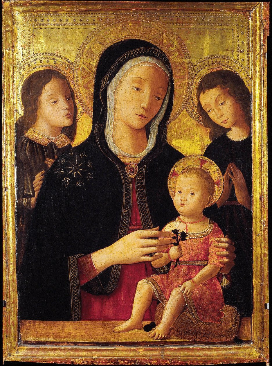 Virgin and Child with Two Angels (oil on wood) بواسطة برناردينو فونجاي