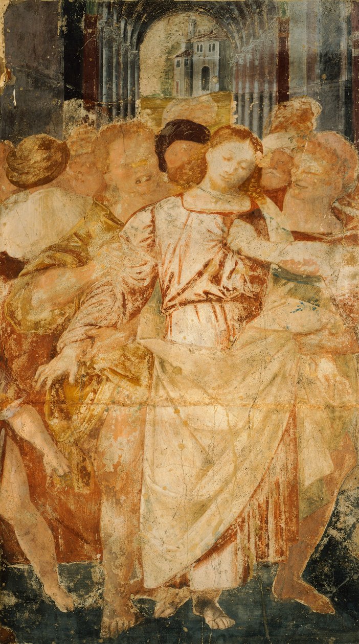 الجلد ، بقلم برناردينو لانينو (1511-1582) بواسطة برناردينو لانينو