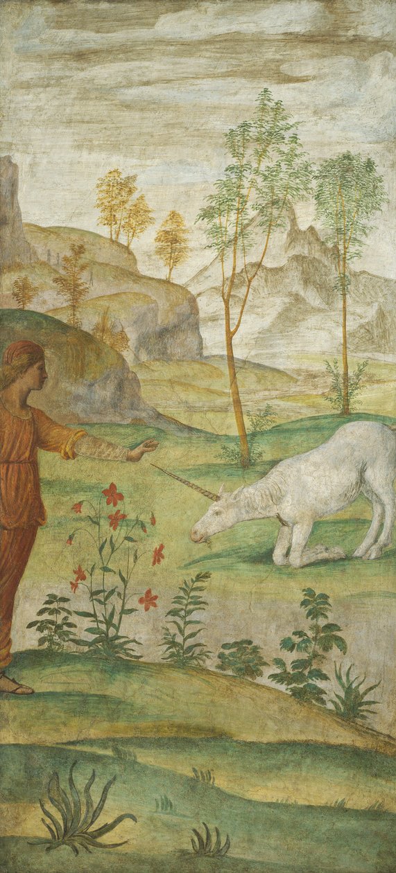 Procris and the Unicorn ، ج. 15201522. بواسطة برناردينو لويني