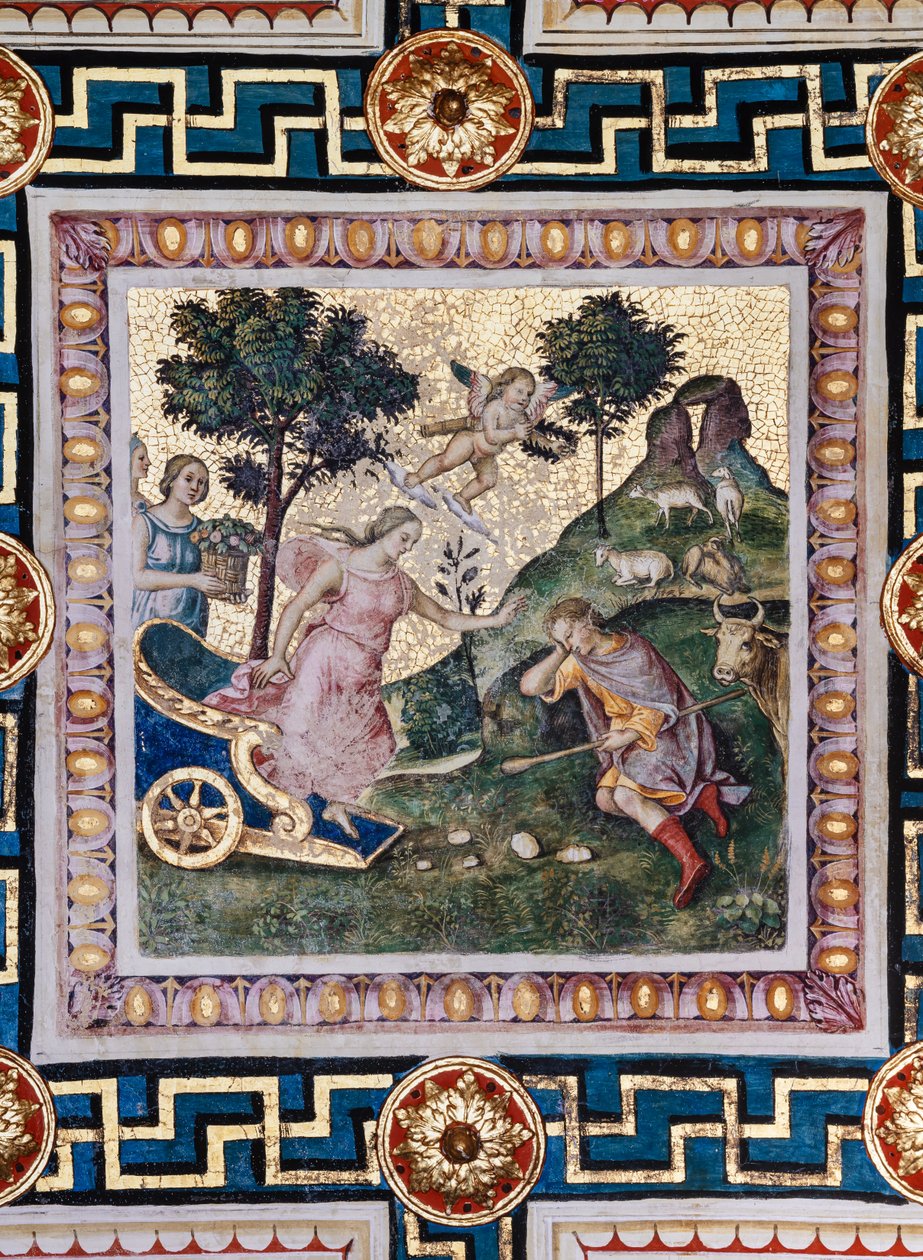 مكتبة Piccolomini ، السقف: "اغتصاب Proserpina" ، لوحة جدارية لبرناردينو دي بيتو ، المعروفة باسم Pinturicchio. في اللوحة يندفع بلوتو بعيدًا في عربته ، يتدحرج بروسيربين بين ذراعيه ويهدد أحد رفاق الإلهة بلوتو بواسطة برناردينو دي بيتو بينتوريتشيو