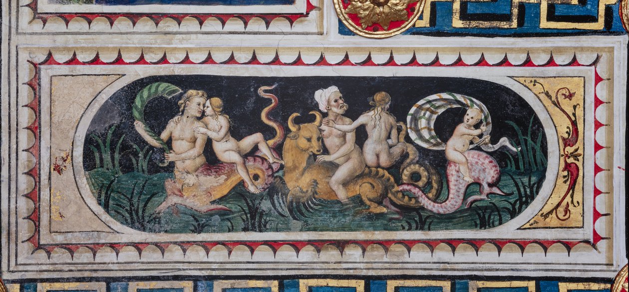 مكتبة Piccolomini ، السقف: لوحة أصغر مع مشهد من thiasus البحري (tritons ، putto and nereid) ، لوحة جدارية لبرناردينو دي بيتو ، المعروفة باسم Pinturicchio. بواسطة برناردينو دي بيتو بينتوريتشيو