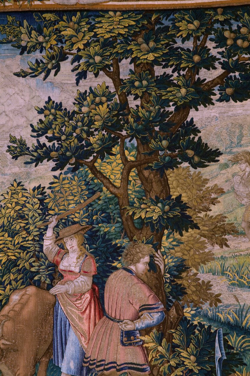 نسيج فلمنكي. السلسلة مؤسسة روما: فاوستولوس يلتقي رومولوس وريموس. رسام الكاريكاتير باريند فان أورلي (؟). تصنيع بروكسل. 1525-1530. التفاصيل. بواسطة برنارت فان (Attr. To) Orley