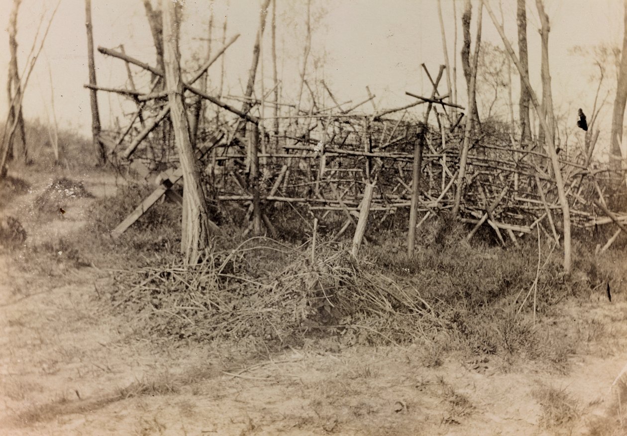 Album of the First World War in Friuli-Venezia Giulia: defensive obstacle (cavalli di Frisia), 05/1916 (b/w photo) بواسطة بيرتوني بيرتوني