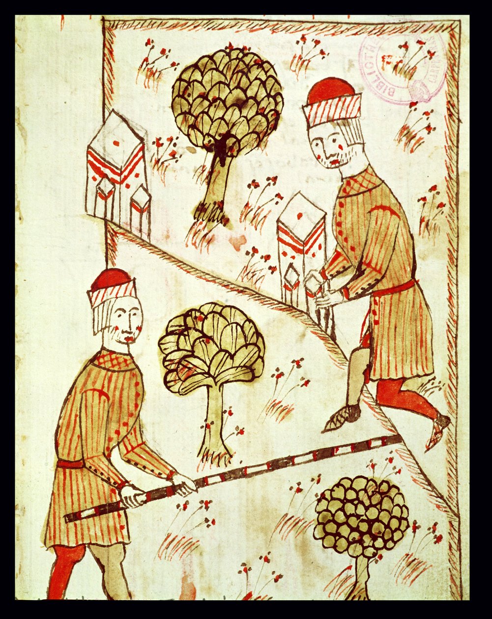 Ms 327 fol.28r مسح وتحديد الأراضي ، من "Traite d&39;Arpentage" بقلم أرنود دي فيلنوف (1240-1312) بواسطة برتراند بويسيت