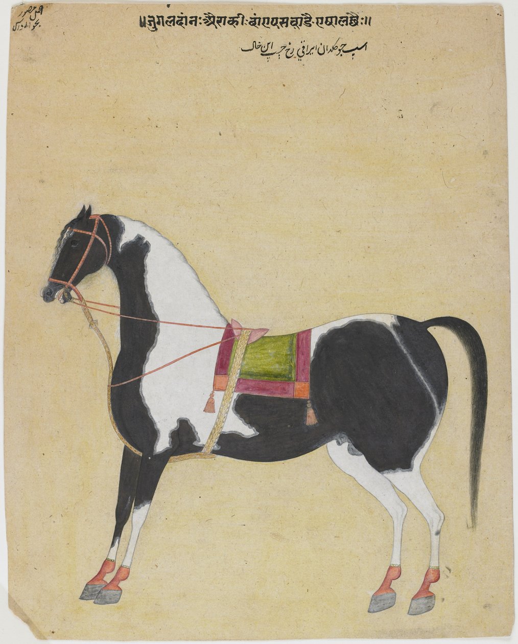 The Stallion Jukaldan Ayragi ، c.1730 (مرحاض غير شفاف على الورق) بواسطة بهافاني داس