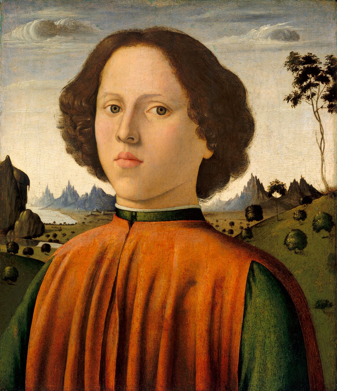صورة لصبي ، c.14761480 (زيت وحرارة على اللوحة) بواسطة بياجيو دانتونيو