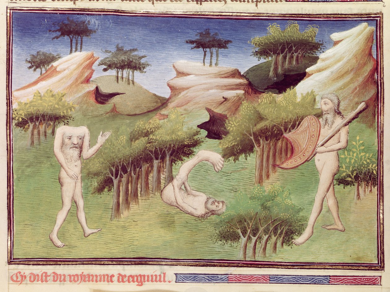 السيدة 2810 f.29v ، وحوش من أرض الميركايت ، من "ليفر دي ميرفيل دو موند" ، ج 1410-12 (درجة الحرارة على الرق) بواسطة ماجستير Boucicaut
