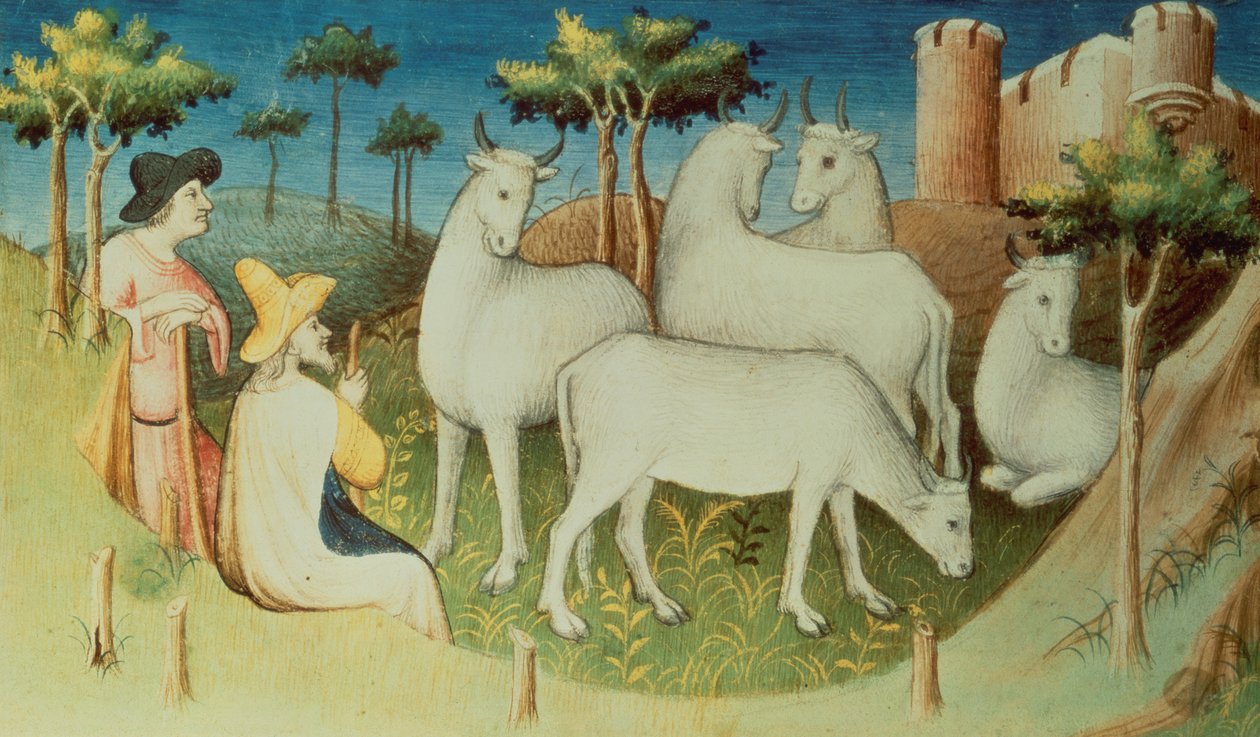 السيدة Fr 2810 f.13v ، ماركو بولو في رحلاته ، من "Livre des Merveilles du Monde" ، c.1410-12 (درجة الحرارة على الرق) بواسطة ماجستير Boucicaut
