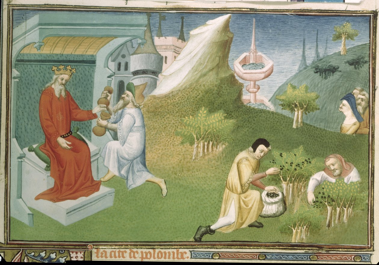 السيدة Fr 2810 f.186 ، حصاد الفلفل وتقديم الثمار لملك ، من "Livre des Merveilles du Monde" ، ج 1410-12 (درجة الحرارة على الرق) بواسطة ماجستير Boucicaut
