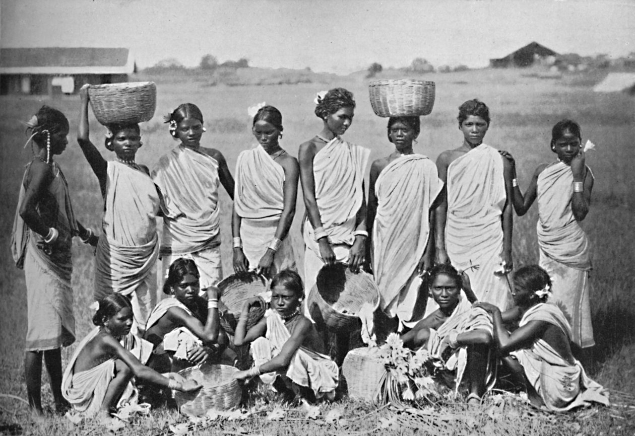 مجموعة بنات كول 1902 بواسطة بورن وشيبارد