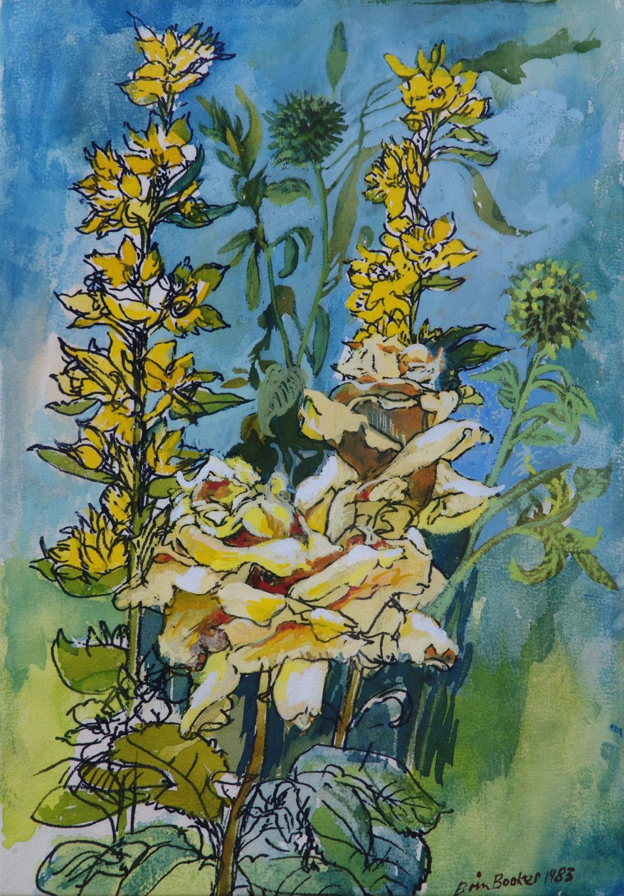 Yellow Rose and Loosestrife، 1983 (قلم وحبر مع مرحاض على ورق) بواسطة بريندا برين بوكر