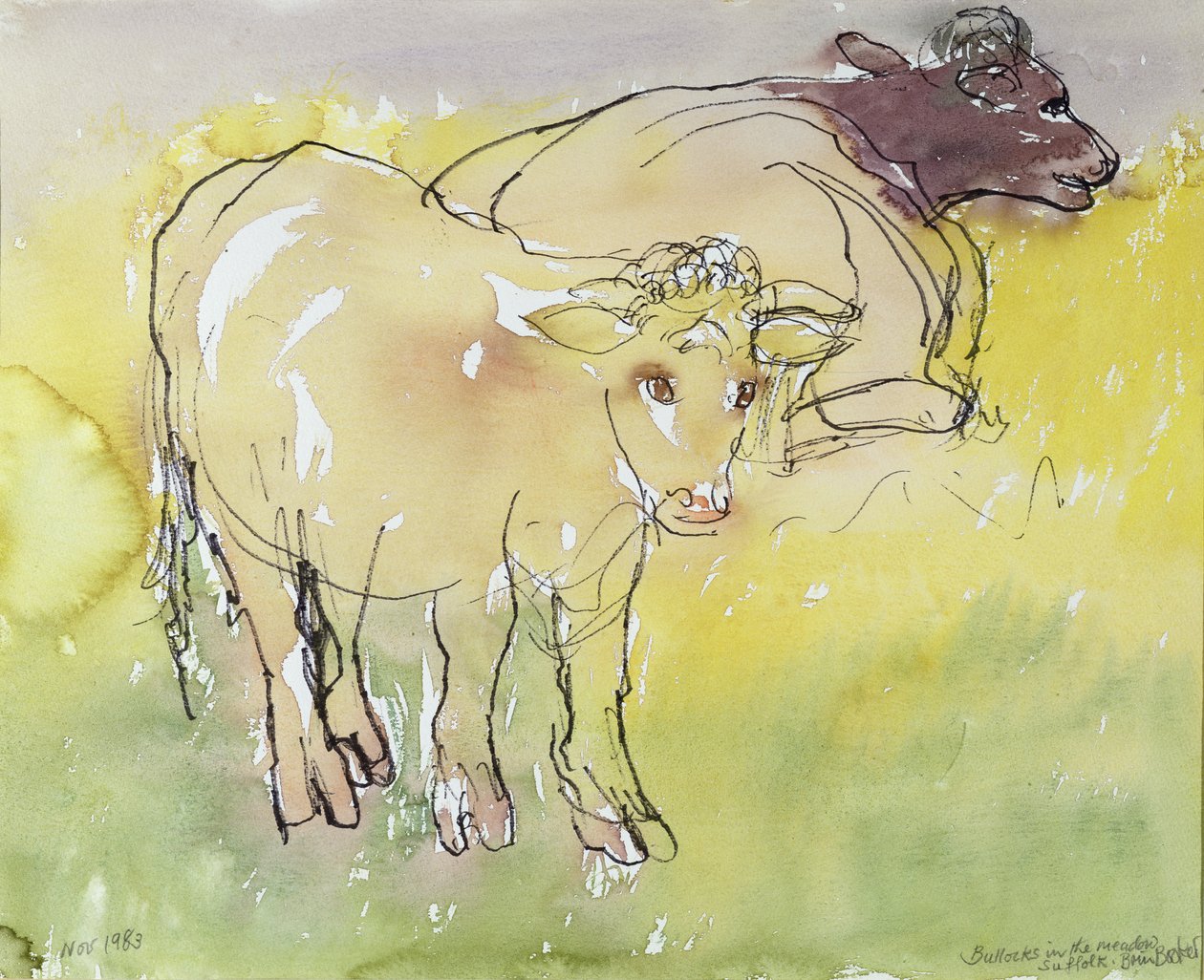 Young Bullocks in the Meadow ، 1983 (قلم وحبر مع مرحاض على ورق) بواسطة بريندا برين بوكر