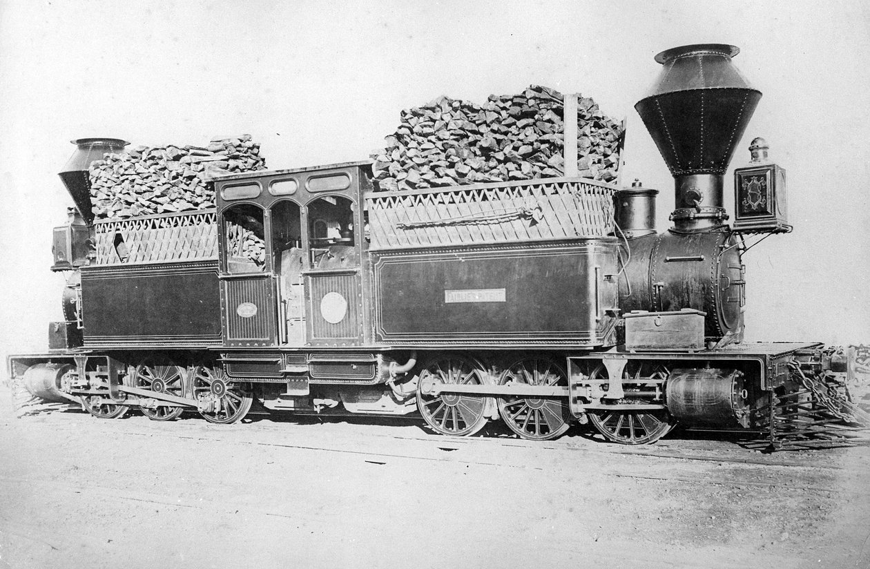 محرك Fairlie مزدوج ، 1870s بواسطة مصور بريطاني